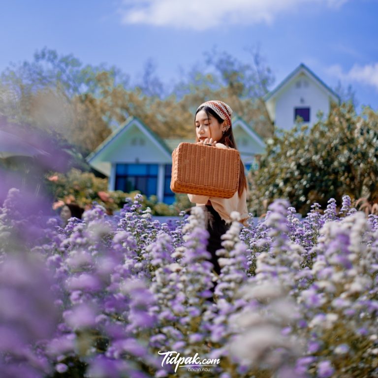 Songkhla Flower Farm – สวนดอกไม้แห่งแรกในสงขลา