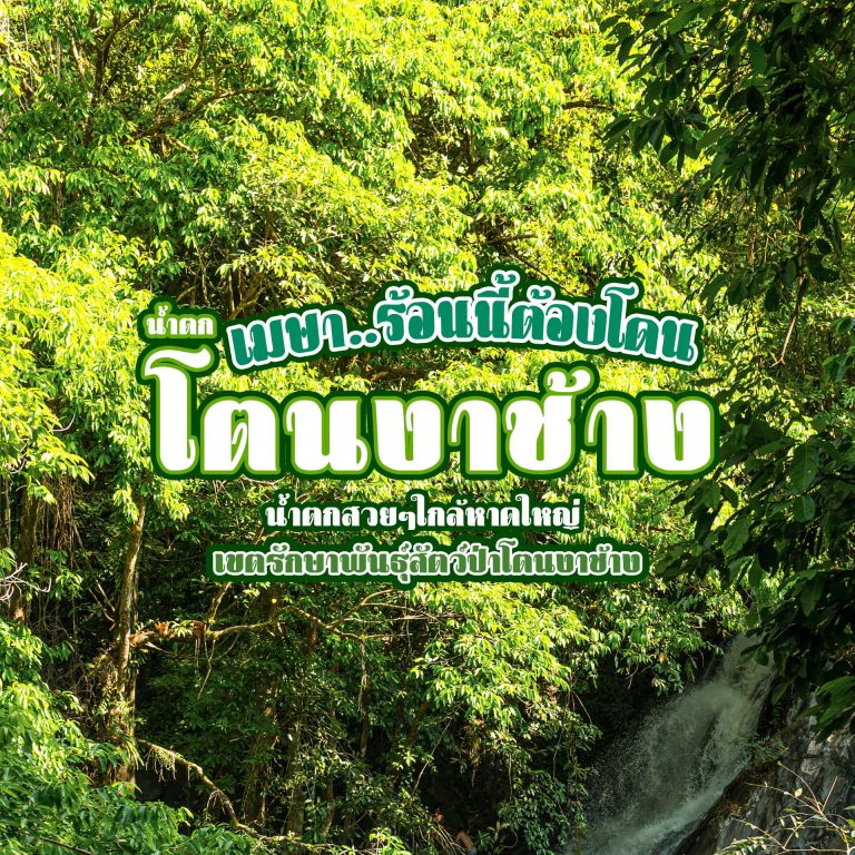 น้ำตกโตนงาช้าง Ton Nga Chang Waterfall