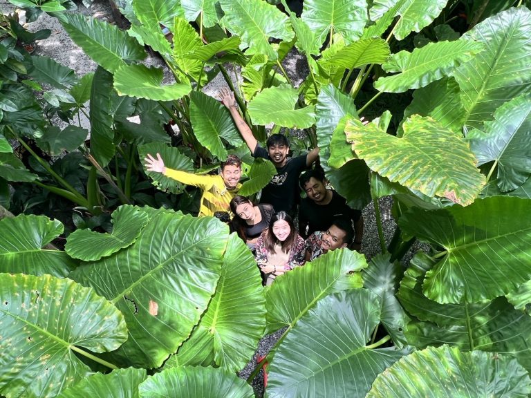 ในดงบอน