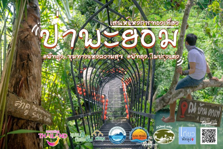 ป่าพะยอม พัทลุง