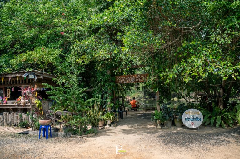 สวนย่าส้องคอฟฟี่โฮมบ้านคูเต่า